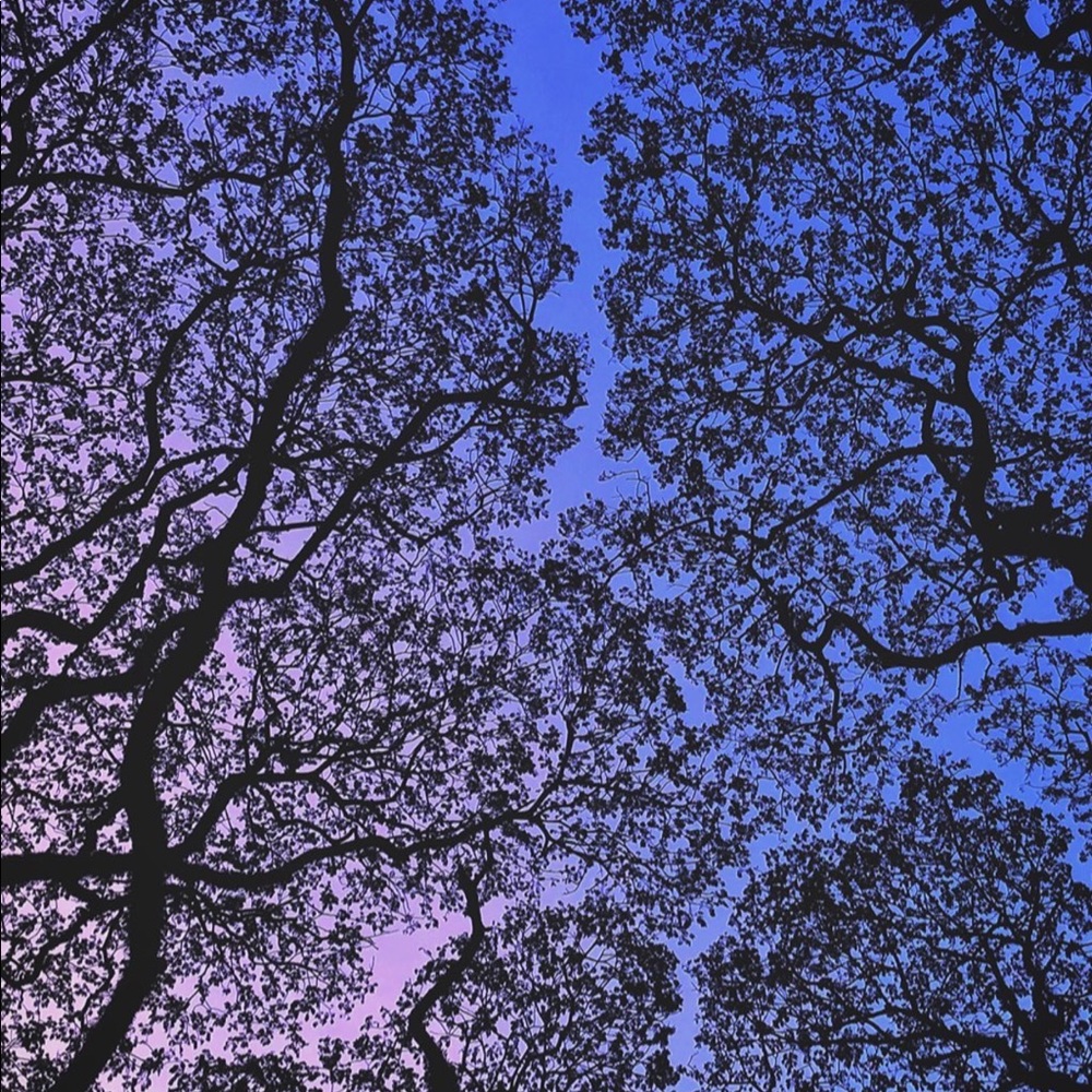 Meet your Posher, Tucker